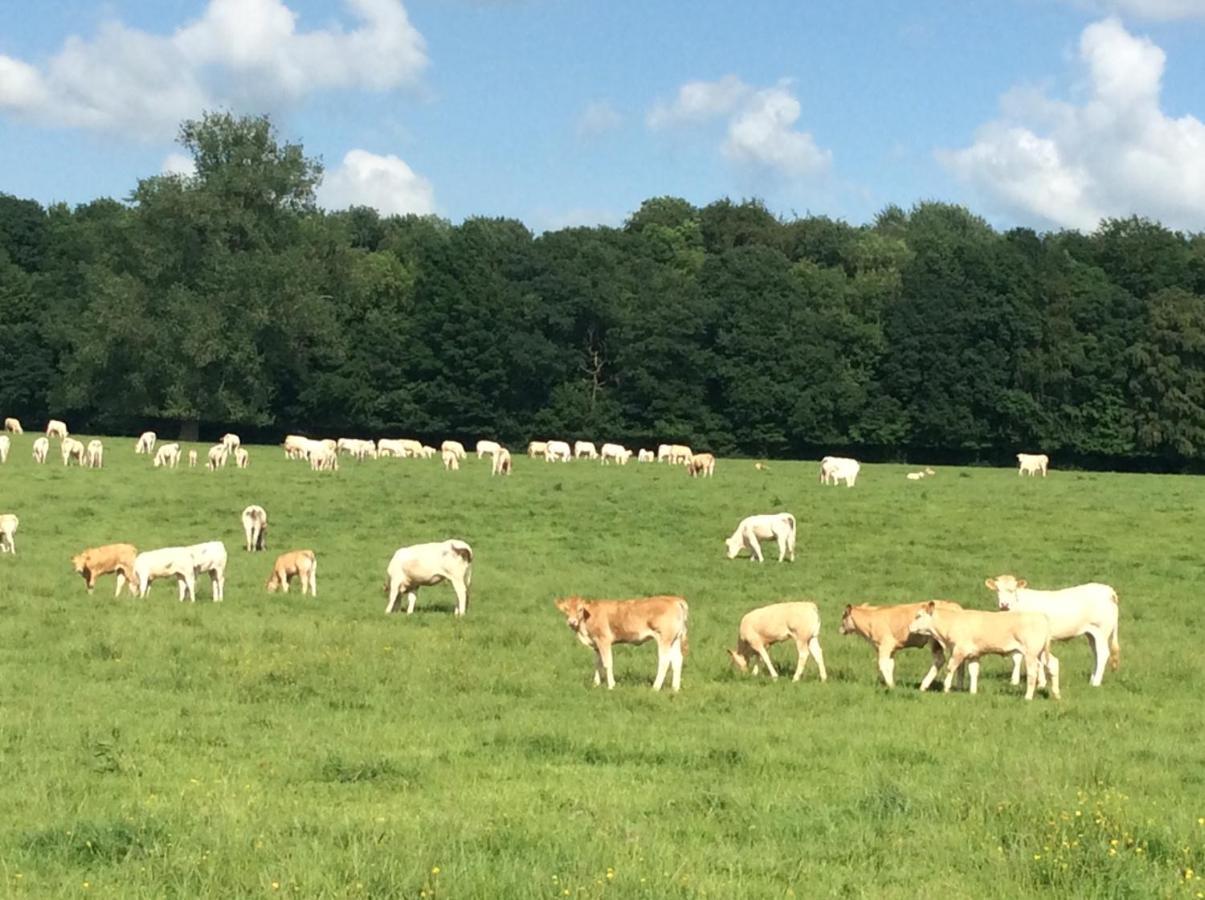Aux Bois Dores De La Ferme De Sorval, Animaux De La Ferme, Fitness Selvigny Εξωτερικό φωτογραφία