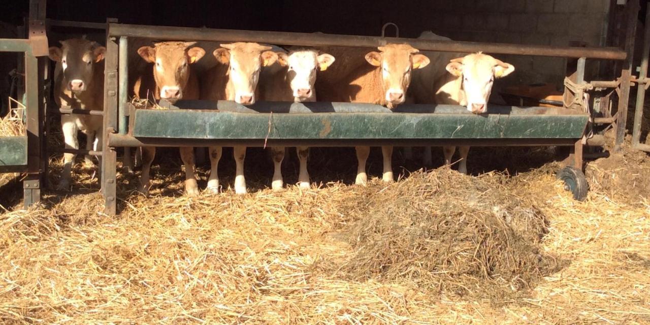 Aux Bois Dores De La Ferme De Sorval, Animaux De La Ferme, Fitness Selvigny Εξωτερικό φωτογραφία