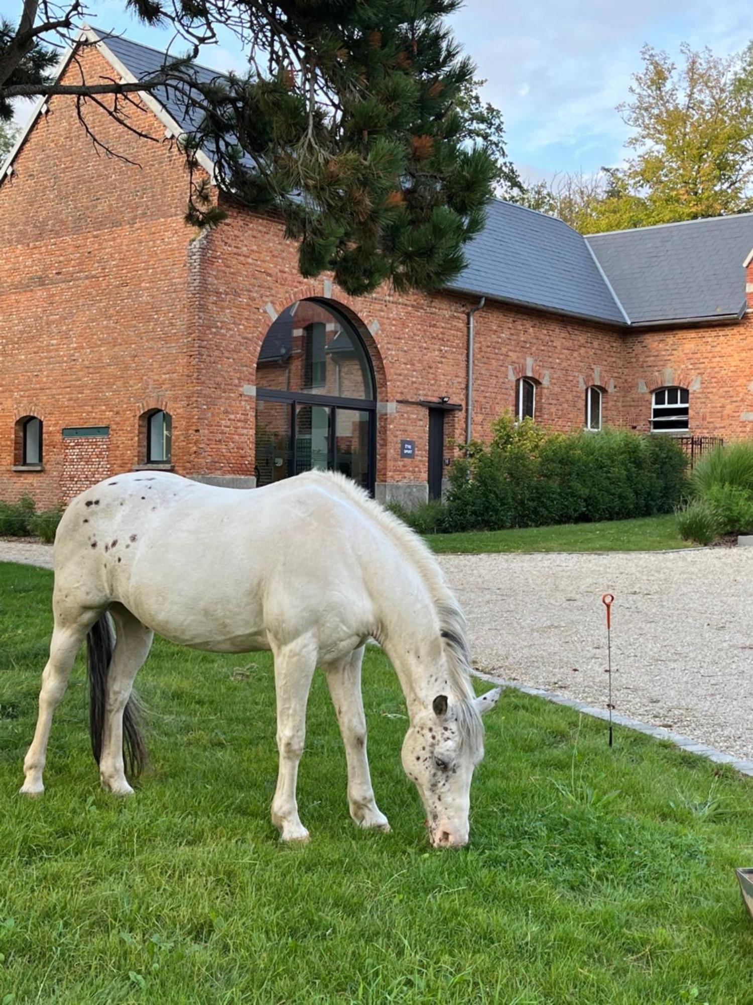 Aux Bois Dores De La Ferme De Sorval, Animaux De La Ferme, Fitness Selvigny Εξωτερικό φωτογραφία